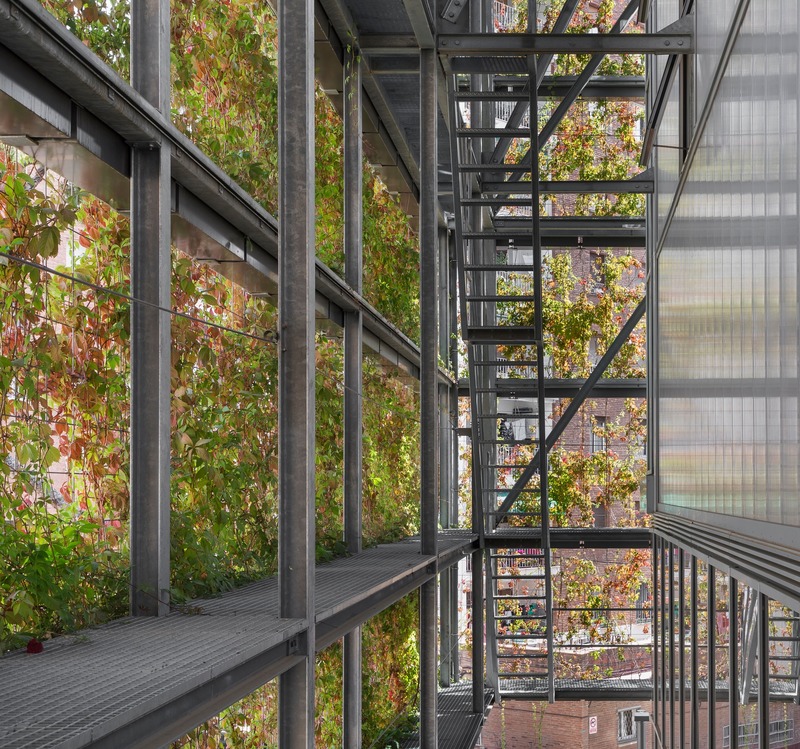Dossier de presse | 4080-01 - Communiqué de presse | Turó de la Peira's Sports Center and layout of the interior urban block - Arquitectura Anna Noguera - Architecture institutionnelle - Turó de la Peira: Bioclimatic space - Crédit photo : Enric Duch