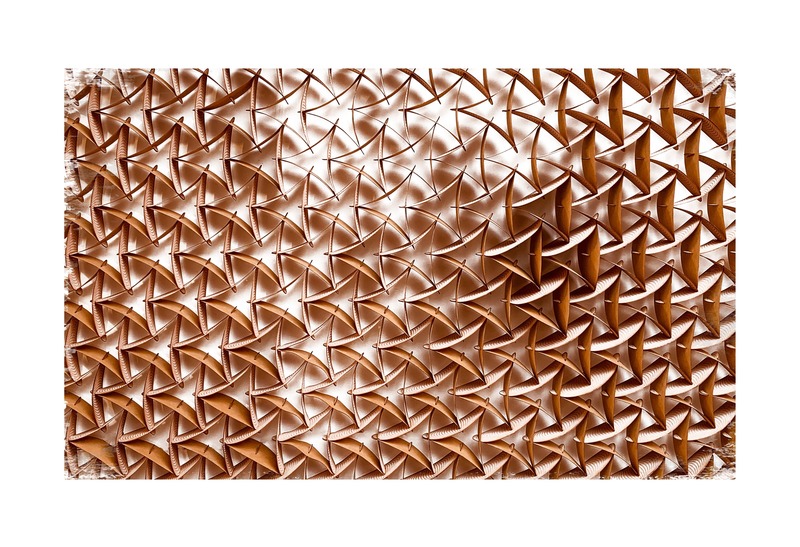 Dossier de presse | 4176-02 - Communiqué de presse | The Evolution of Form - estereotomia - Art - Print of cellular pieces in tension - Crédit photo : Alejandro de la Vega Zulueta