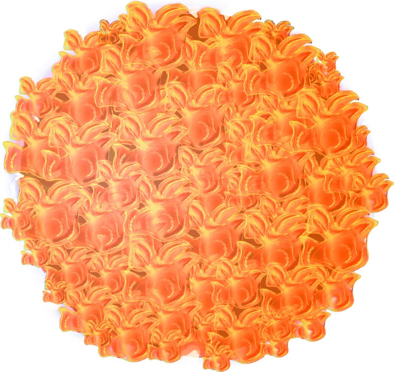 Dossier de presse | 4176-02 - Communiqué de presse | The Evolution of Form - estereotomia - Art -  Cempazuchitl flower, drawing for parametric processing  - Crédit photo : Alejandro de la Vega Zulueta