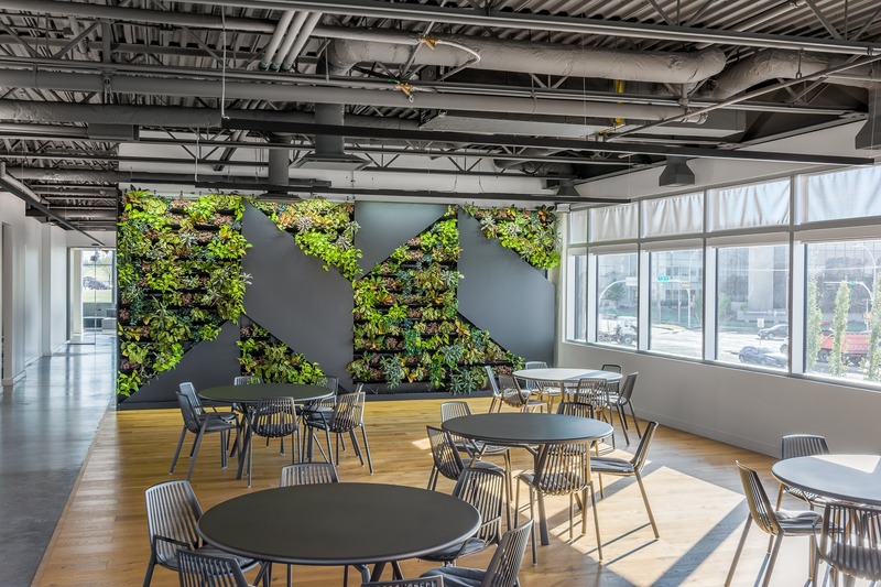 Press kit | 2403-01 - Press release | Telecon across Canada - Imperatori Design - Commercial Interior Design - <p> Telecon Edmonton - Café</p> - Photo credit: Ray Van Dusen
