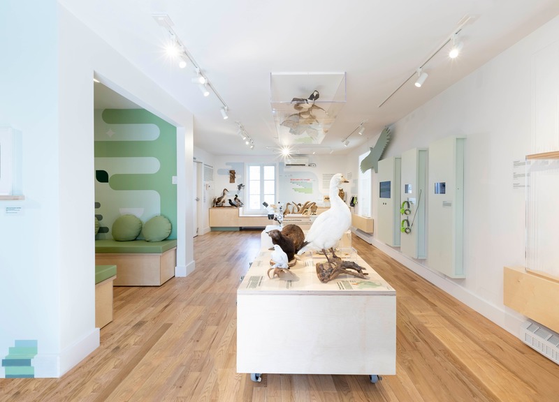 Dossier de presse | 673-22 - Communiqué de presse | Et les lauréats sont ! GRANDS PRIX DU DESIGN 13e édition - Agence PID - Concours - <p style="">Grand prix exposition</p><p style="">	<br style="">‘’Naturoscope'', nouvelle exposition permanente de la Maison Léon-Provancher	<br style="">B Architecture</p> - Crédit photo : Marjorie Roy Optique photo