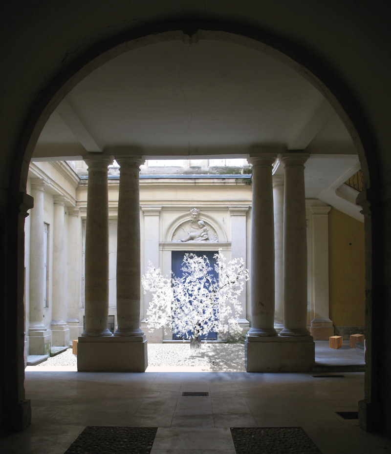 Dossier de presse | 982-46 - Communiqué de presse | Les lauréats du Festival des Architectures Vives 2020 - Association Champ Libre - Évènement + Exposition -  <p>Bloom</p><p>Mathilde Vigouroux </p>  - Crédit photo :    <p style="">Mathilde Vigouroux<br style=""></p>   