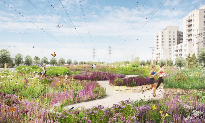 Dossier de presse | 1020-08 - Communiqué de presse | L'AAPC, l'ICU, et l'IRAC annoncent les lauréats des Prix nationaux de design urbain 2020 - L’Institut royal d’architecture du Canada (IRAC), l’Institut canadien des urbanistes (ICU) et l’Association des architectes paysagistes du Canada (AAPC) - Concours -  Corridor de biodiversité, Arrondissement de Saint-Laurent, Montréal:  Perspective, boulevard Cavendish - Crédit photo : civiliti, LAND Italia, Tablearchitecture, BiodiversitéConsei
