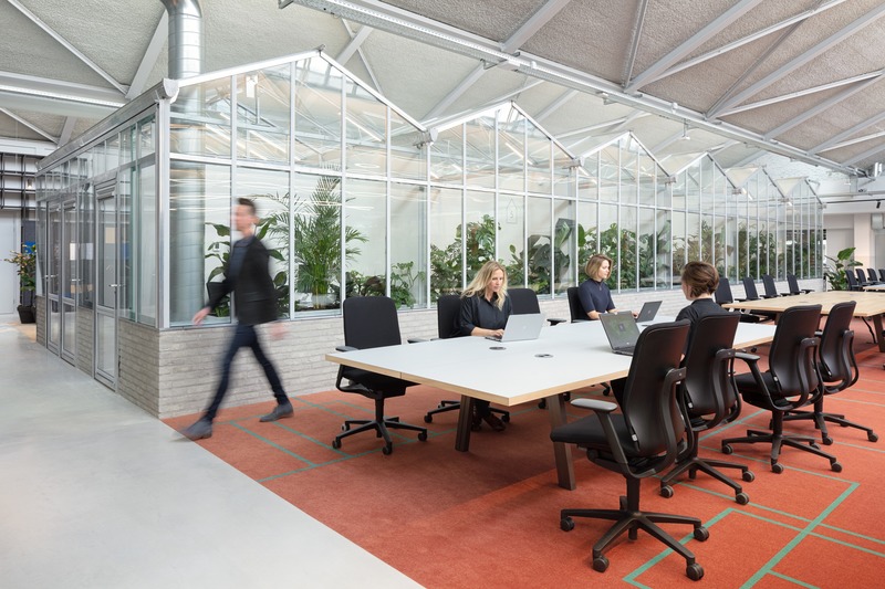 Dossier de presse | 4695-01 - Communiqué de presse | Sustainable transformed office The Core wins two Frame Awards - Large Office of the Year - CBRE Netherlands - Design d’intérieur commercial - Workspace - Long tables facilitate working together in project teams. The greenhouses in the back are used as meeting rooms. - Crédit photo : Stijnstijl Photography