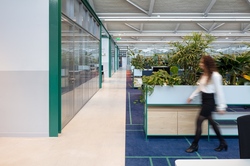 Dossier de presse | 4695-01 - Communiqué de presse | Sustainable transformed office The Core wins two Frame Awards - Large Office of the Year - CBRE Netherlands - Design d’intérieur commercial - Workspace with break out spaces on the left and on the right workstations separated by lots of green plants. In the back: greenhouse meeting rooms. - Crédit photo : Stijnstijl Photography