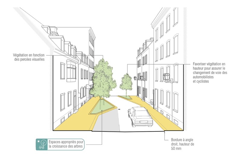 Dossier de presse | 4677-01 - Communiqué de presse | GROUPE A / ANNEXE U récipiendaire d'un Prix national d’excellence en design urbain de l'IRAC - Groupe A / Annexe U - Design urbain - Proposition de réaménagement d'une rue résidentielle - coupe - Crédit photo : Groupe A / Annexe U