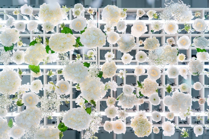 Press kit | 4692-01 - Press release | The Art of Bloom - Intertrend Communications - Event + Exhibition - Our installations encouraged visitors to rediscover the special symbiotic relationship that humans have with flowers, and in turn, nature. - Photo credit: Brandon Shigeta