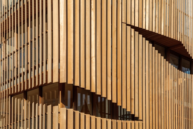 Dossier de presse | 4068-01 - Communiqué de presse | Freebooter | Maison biophilique - GG-loop - Architecture résidentielle - Crédit photo : Francisco Nogueira