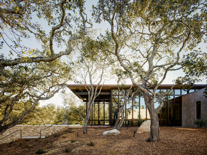 Dossier de presse | 2757-15 - Communiqué de presse | Studio Schicketanz Embraces the California Coast - Studio Schicketanz - Architecture résidentielle -  Tehama 1: The front door is accessed via concrete stairs that ascend the gently sloping site. The home's entryway is enclosed in floor-to-ceiling glass. - Crédit photo : Joe Fletcher Photography