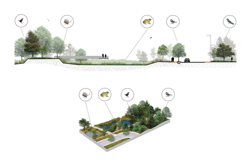 Dossier de presse | 2366-04 - Communiqué de presse | Un Corridor de biodiversité pour Montréal - civiliti, LAND Italia, Table Architecture, Biodiversité Conseil - Architecture de paysage - <p style=""> Coupe et aperçu schématique, Parc Philippe-Laheurte </p> - Crédit photo : civiliti, LAND Italia, Table Architecture, Biodiversité Conseil 