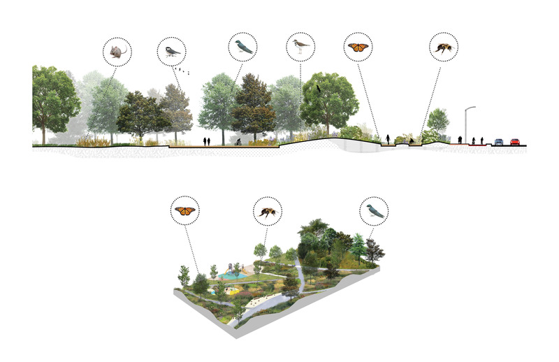 Dossier de presse | 2366-04 - Communiqué de presse | Un Corridor de biodiversité pour Montréal - civiliti, LAND Italia, Table Architecture, Biodiversité Conseil - Architecture de paysage -   Coupe et aperçu schématique, accès au Parc Philippe-Laheurte à partir du boulevard Cavendish<br>   - Crédit photo : civiliti, LAND Italia, Table Architecture, Biodiversité Conseil 