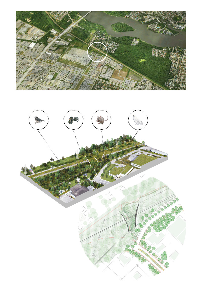 Dossier de presse | 2366-04 - Communiqué de presse | Un Corridor de biodiversité pour Montréal - civiliti, LAND Italia, Table Architecture, Biodiversité Conseil - Architecture de paysage -   Aperçu schématique et plan d'implantation, Passerelle écologique, boulevard Thimens   - Crédit photo : civiliti, LAND Italia, Table Architecture, Biodiversité Conseil 