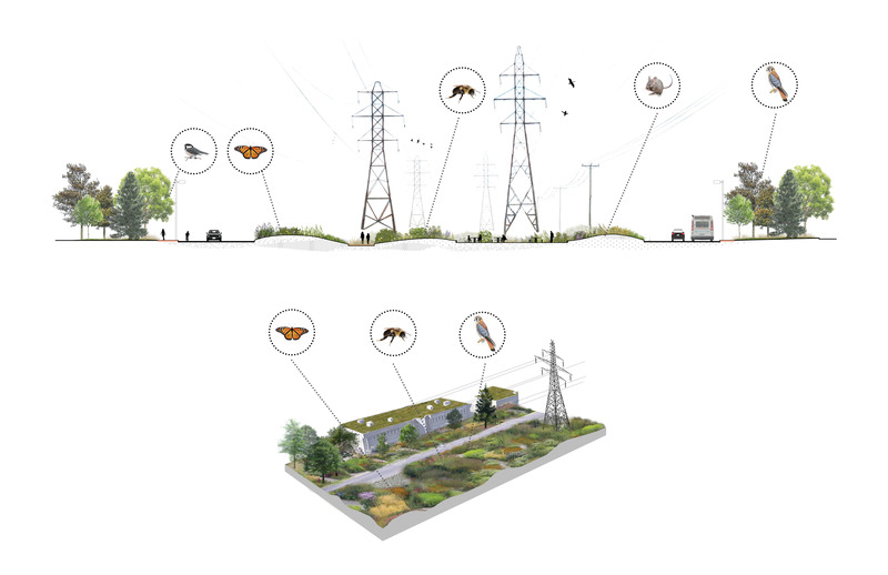 Dossier de presse | 2366-04 - Communiqué de presse | Un Corridor de biodiversité pour Montréal - civiliti, LAND Italia, Table Architecture, Biodiversité Conseil - Architecture de paysage -  Coupe et aperçu schématique, boulevard Thimens   - Crédit photo : civiliti, LAND Italia, Table Architecture, Biodiversité Conseil 