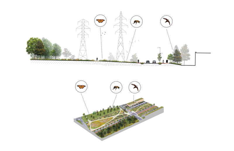 Dossier de presse | 2366-04 - Communiqué de presse | Un Corridor de biodiversité pour Montréal - civiliti, LAND Italia, Table Architecture, Biodiversité Conseil - Architecture de paysage -  Coupe et aperçu schématique, boulevard Poirier   - Crédit photo : civiliti, LAND Italia, Table Architecture, Biodiversité Conseil 