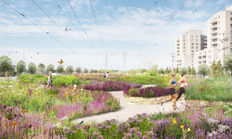 Dossier de presse | 2366-04 - Communiqué de presse | Un Corridor de biodiversité pour Montréal - civiliti, LAND Italia, Table Architecture, Biodiversité Conseil - Architecture de paysage -   Perspective, boulevard Cavendish <br>   - Crédit photo :  civiliti, LAND Italia, Table Architecture, Biodiversité Conseil 