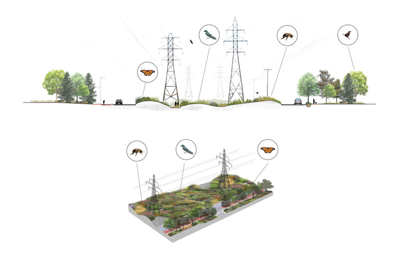 Dossier de presse | 2366-04 - Communiqué de presse | Un Corridor de biodiversité pour Montréal - civiliti, LAND Italia, Table Architecture, Biodiversité Conseil - Architecture de paysage -   Coupe et aperçu schématique, boulevard Cavendish<br>   - Crédit photo : civiliti, LAND Italia, Table Architecture, Biodiversité Conseil 