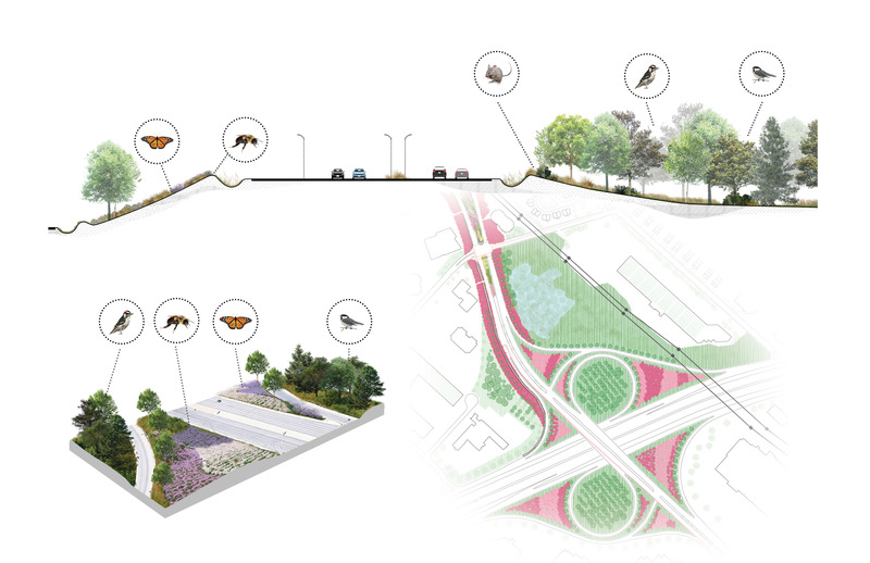 Dossier de presse | 2366-04 - Communiqué de presse | Un Corridor de biodiversité pour Montréal - civiliti, LAND Italia, Table Architecture, Biodiversité Conseil - Architecture de paysage -   Coupe, aperçu schématique et plan d'implantation, échangeur boulevard Cavendish et Autoroute 40<br>   - Crédit photo : civiliti, LAND Italia, Table Architecture, Biodiversité Conseil 