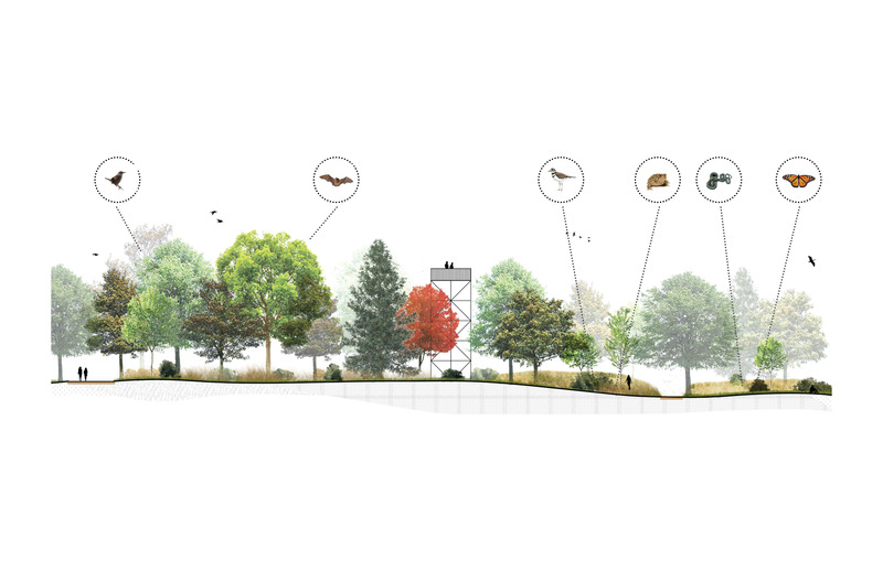 Dossier de presse | 2366-04 - Communiqué de presse | Un Corridor de biodiversité pour Montréal - civiliti, LAND Italia, Table Architecture, Biodiversité Conseil - Architecture de paysage - Coupe, Parc Marcel-Laurin<br> - Crédit photo : civiliti, LAND Italia, Table Architecture, Biodiversité Conseil 