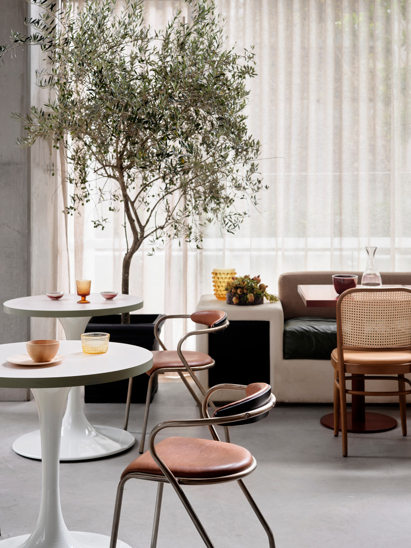 Press kit | 2887-08 - Press release | Glorietta - Alexander &CO. - Commercial Interior Design - Olive Tree and table detail - Photo credit: Anson Smart