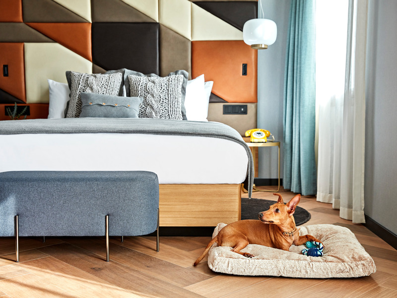 Dossier de presse | 3724-08 - Communiqué de presse | Kimpton Vividora Hotel - EL EQUIPO CREATIVO - Design d’intérieur commercial - Crédit photo : One Represent Agency