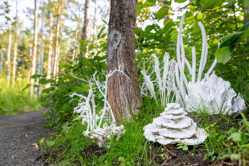 Press kit | 837-35 - Press release | "Les métissages" of the International Garden Festival 2020 at "Les Jardins de Métis" - International Garden Festival / Reford Gardens - Event + Exhibition -  <p class="">Forêt corallienne</p><p class="">by Lucie Bulot, Architect and Dylan Collins, Designer</p><p class="">Montreal (Quebec) Canada</p>  - Photo credit: Jean-Christophe Lemay