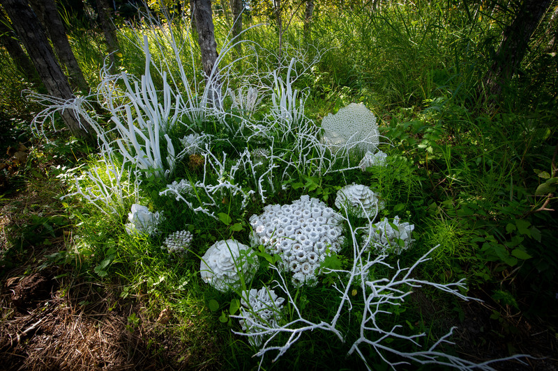 Press kit | 837-35 - Press release | "Les métissages" of the International Garden Festival 2020 at "Les Jardins de Métis" - International Garden Festival / Reford Gardens - Event + Exhibition -  <p class="">Forêt corallienne</p><p class="">by Lucie Bulot, Architect and Dylan Collins, Designer</p><p class="">Montreal (Quebec) Canada</p>  - Photo credit: Martin Bond