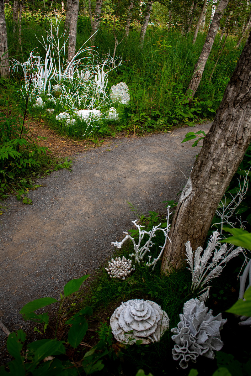 Press kit | 837-35 - Press release | "Les métissages" of the International Garden Festival 2020 at "Les Jardins de Métis" - International Garden Festival / Reford Gardens - Event + Exhibition -  <p class="">Forêt corallienne</p><p class="">by Lucie Bulot, Architect and Dylan Collins, Designer</p><p class="">Montreal (Quebec) Canada</p>  - Photo credit: Martin Bond