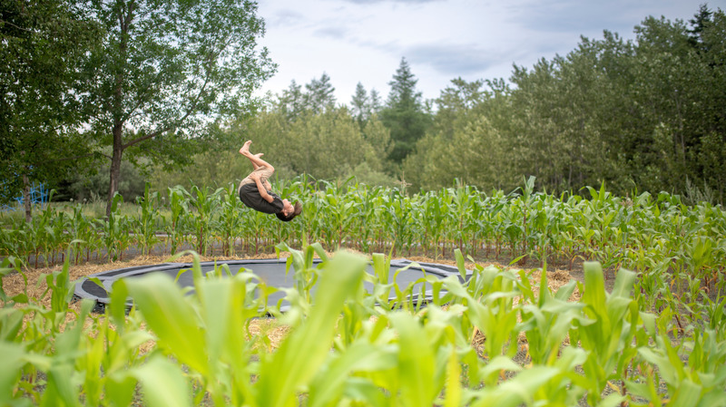 Dossier de presse | 837-36 - Communiqué de presse | Appel de candidatures - Festival international de jardins 2021 des Jardins de Métis - Festival international de jardins | Jardins de Métis - Évènement + Exposition -  aMAZEing de Marta Milà  Pascual et Marc Torrellas Arnedo (2018) - Espagne  - Crédit photo : Jean-Christophe Lemay