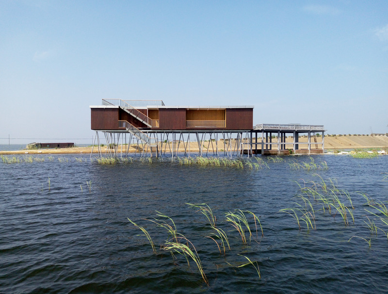 Dossier de presse | 5545-01 - Communiqué de presse | Inaugural Sino-Europe Invitational Architectural Exhibition 2020-2021 (Shanghai) - Sino-Europe Architectural Center (SEAMC) - Évènement + Exposition - Nanji Wetland National Natural Reserve Visitor Center, CUHK+UNITINNO - Crédit photo : Chenghui Wu