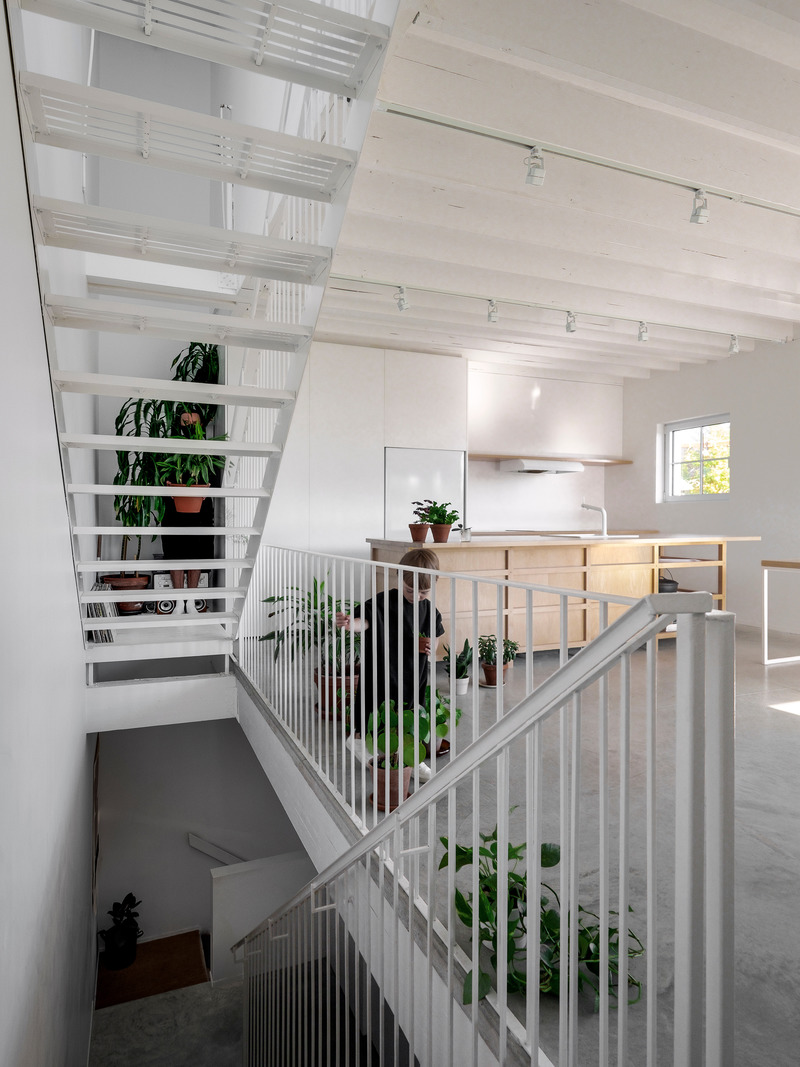 Dossier de presse | 1010-12 - Communiqué de presse | NMBHD, 1 plex 3 nez - Studio Jean Verville architectes - Architecture résidentielle - Crédit photo : <p>Felix Michaud +</p><p>studio Jean Verville architectes</p>