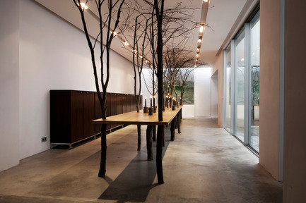 Press kit | 962-01 - Press release | The fantasies of Charles, his table and his guests - Charles Kaisin - Product - Table arbre - Charles Kaisin - Photo credit: Marie-Françoise Plissart