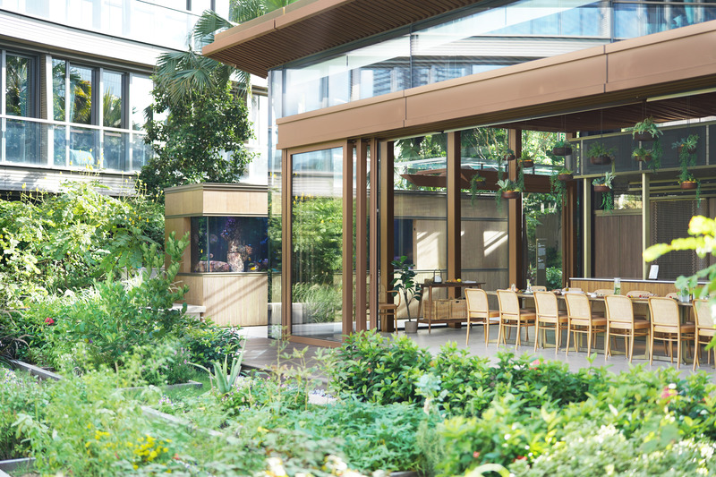 Press kit | 3772-02 - Press release | Nature Discovery Park - LAAB Architects with PLandscape and Speirs Major - Commercial Architecture - Nature Discovery Park offers urban farming experiences. - Photo credit: Otto Ng of LAAB Architects