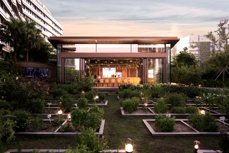 Press kit | 3772-02 - Press release | Nature Discovery Park - LAAB Architects with PLandscape and Speirs Major - Commercial Architecture - Nature Discovery Park is a rooftop conservatory in Hong Kong. - Photo credit: Otto Ng of LAAB Architects