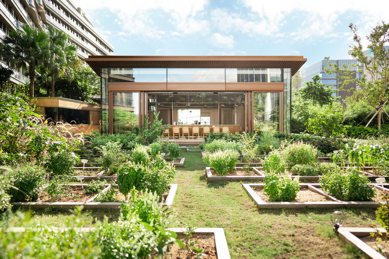 Press kit | 3772-02 - Press release | Nature Discovery Park - LAAB Architects with PLandscape and Speirs Major - Commercial Architecture - Nature Discovery Park is a rooftop conservatory in Hong Kong. - Photo credit: Otto Ng of LAAB Architects