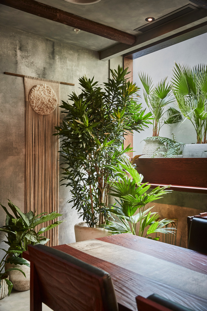 Press kit | 5594-01 - Press release | KOL by A-nrd studio - A-nrd studio - Commercial Interior Design - Chef's table dining room - corner detail with view into greenery patio - Photo credit: Charlie Mckay 