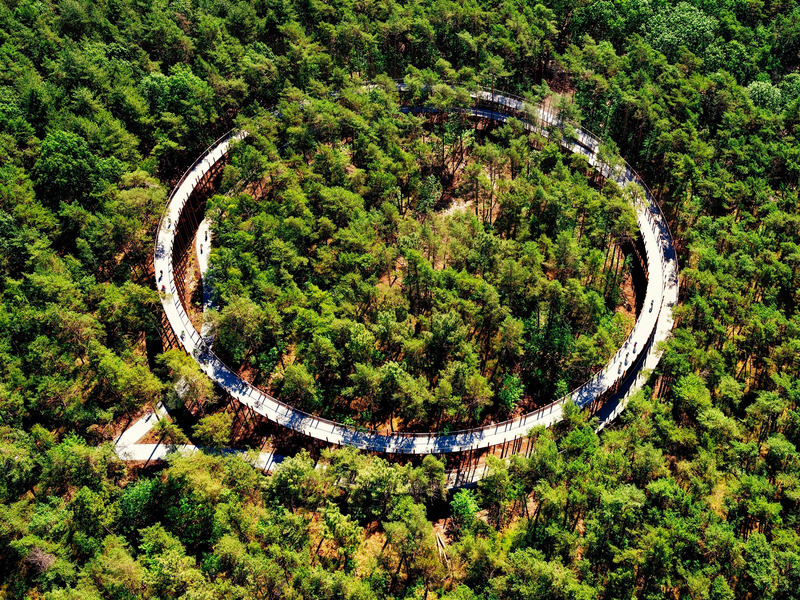 Press kit | 5592-01 - Press release | Design Educates Awards  Winners 2021 - Laka Foundation - Competition - Honorable mention in architectural design_Cycling through the Trees, Author: Ward Segers - Photo credit:  Visit Limburg and Luc Daelemans  