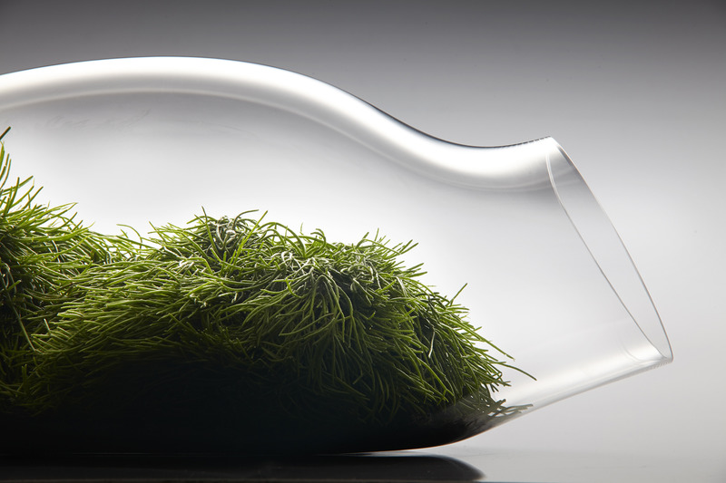 Press kit | 5592-01 - Press release | Design Educates Awards  Winners 2021 - Laka Foundation - Competition -  Honorable mention in product design_ THE GLASS GARDEN, Author: Aleksandra Kujawska - Photo credit:  Aleksandra Kujawska  