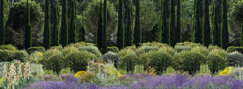 Press kit | 1136-08 - Press release | Domaine de l'Anse Sauvage: Towards an Architecture of Link and Interdependence - Philippe Barriere Collective - Residential Architecture -   Botanical Garden<br style="">  - Photo credit:  Philippe Barriere Collective (Philippe Barriere) 