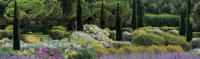 Press kit | 1136-08 - Press release | Domaine de l'Anse Sauvage: Towards an Architecture of Link and Interdependence - Philippe Barriere Collective - Residential Architecture -  Botanical garden (landscape study)  - Photo credit: Philippe Barriere