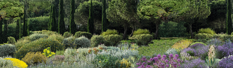 Press kit | 1136-08 - Press release | Domaine de l'Anse Sauvage: Towards an Architecture of Link and Interdependence - Philippe Barriere Collective - Residential Architecture -  Botanical garden (landscape study)  - Photo credit: Philippe Barriere