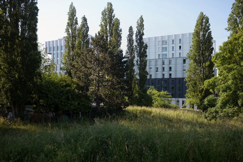 Press kit | 2845-03 - Press release | Partenord Habitat Plot - Coldefy - Institutional Architecture -  Plot from wasteland Saint-Sauveur  - Photo credit: Julien Lanoo