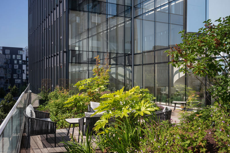Press kit | 2845-03 - Press release | Partenord Habitat Plot - Coldefy - Institutional Architecture -  Green terrace of the headquarters overlooking Boulevard de Belfort  - Photo credit: Julien Lanoo