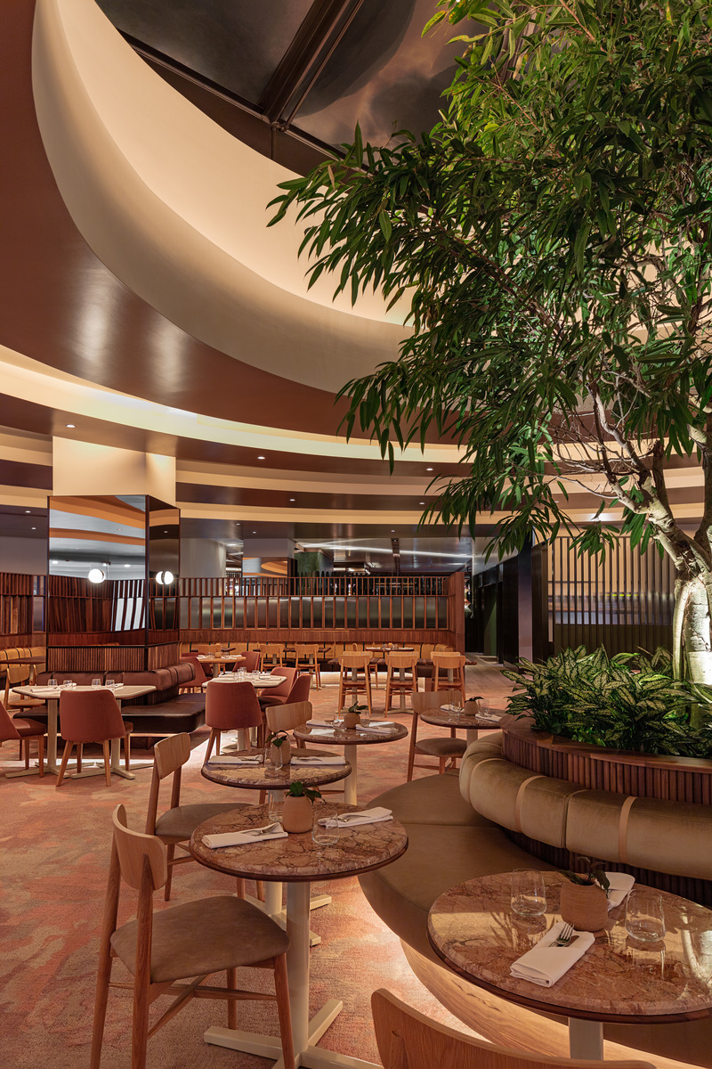 Press kit | 1301-05 - Press release | Planting a Tree of Convivial Connectivity at Hilton Doubletree - Atelier Zébulon Perron - Commercial Interior Design - Breakfast Hub - Photo credit: Jean-Sébastien Senécal