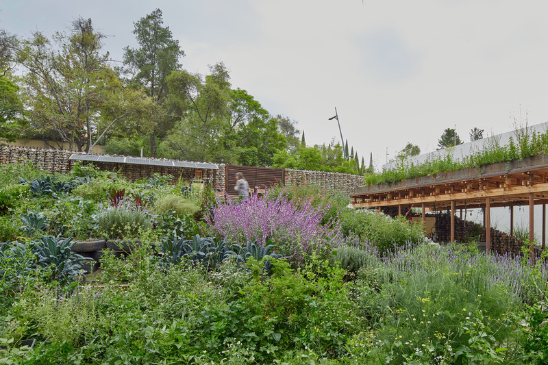 Dossier de presse | 5528-01 - Communiqué de presse | El Terreno - VERTEBRAL - Architecture institutionnelle - Crédit photo : Ricardo de la Concha