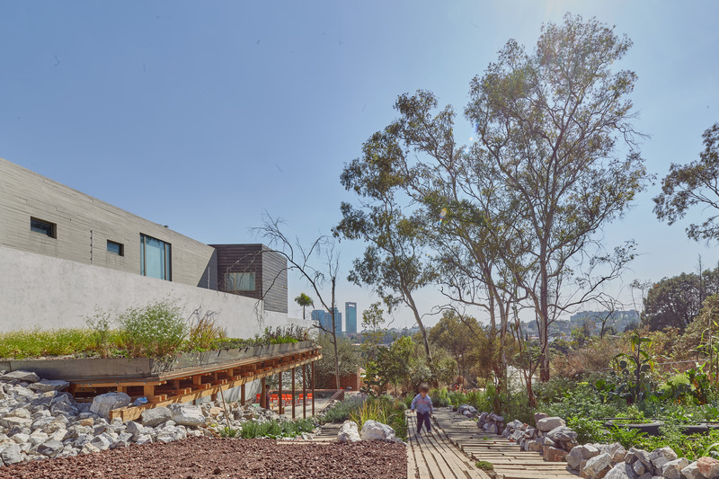 Dossier de presse | 5528-01 - Communiqué de presse | El Terreno - VERTEBRAL - Architecture institutionnelle - Crédit photo : Ricardo de la Concha