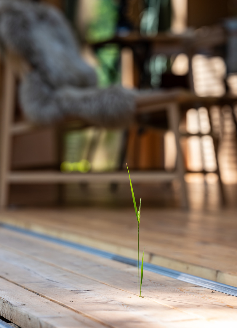 Press kit | 5648-01 - Press release | Dutch cabin design ANNA wins prestigious 2021 Architizer A+ Awards Project of the Year Award - Cabin ANNA - Residential Architecture - Photo credit: Jorrit 't Hoen