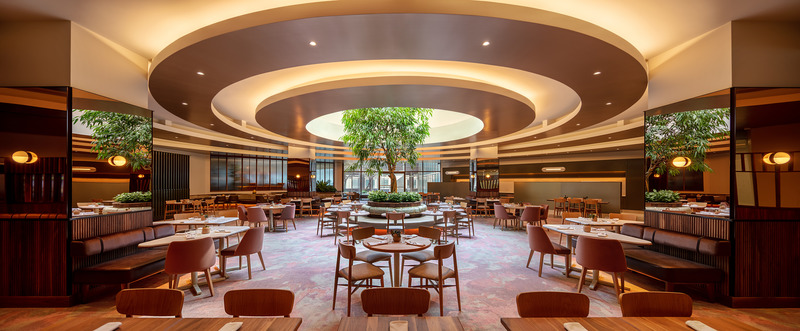 Press kit | 1301-05 - Press release | Planting a Tree of Convivial Connectivity at Hilton Doubletree - Atelier Zébulon Perron - Commercial Interior Design - Photo credit: Jean-Sébastien Senécal