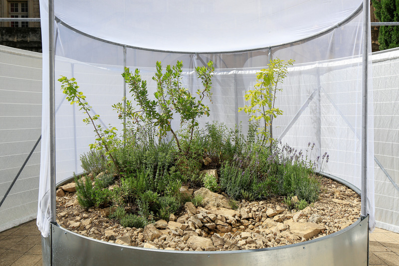 Dossier de presse | 982-47 - Communiqué de presse | Festival des Architectures Vives 2021 - Association Champ Libre - Art - NATURE EN TRANSITION- AGRESTE: Florent Clier, Charlotte Fagart, Sebastien Roussel - Crédit photo : photoarchitecture festivaldesarchitecturesvives