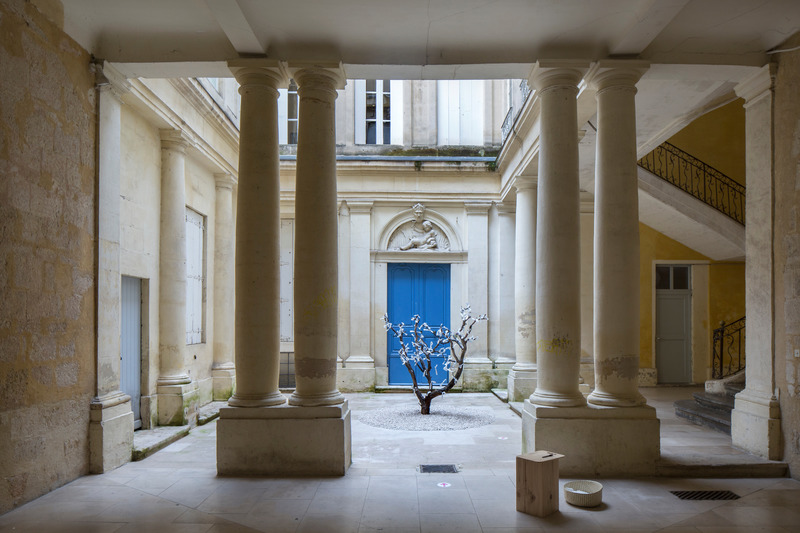 Dossier de presse | 982-47 - Communiqué de presse | Festival des Architectures Vives 2021 - Association Champ Libre - Art - <p>BLOOM- Vigouroux Mathilde</p> - Crédit photo : photoarchitecture festivaldesarchitecturesvives