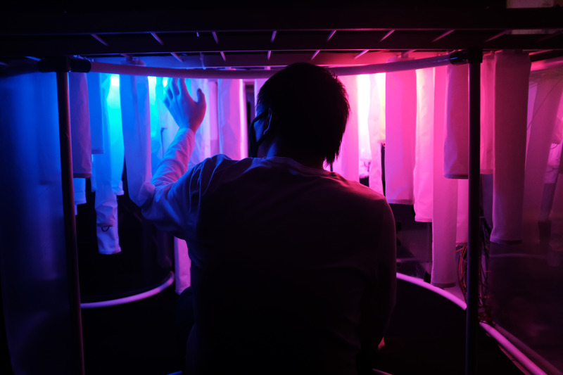 Dossier de presse | 5720-01 - Communiqué de presse | Wisteria: Emotive Intelligent Architecture as an Embodiment of Human Emotion and Cognition - Morphogenesis Lab - Évènement + Exposition -  Immersive interaction of participants with the emotive installation. Installation color and form changing based on detected emotions in real-time.  - Crédit photo :  Mona Ghandi, Nicole Liu, Mohamed Ismail 